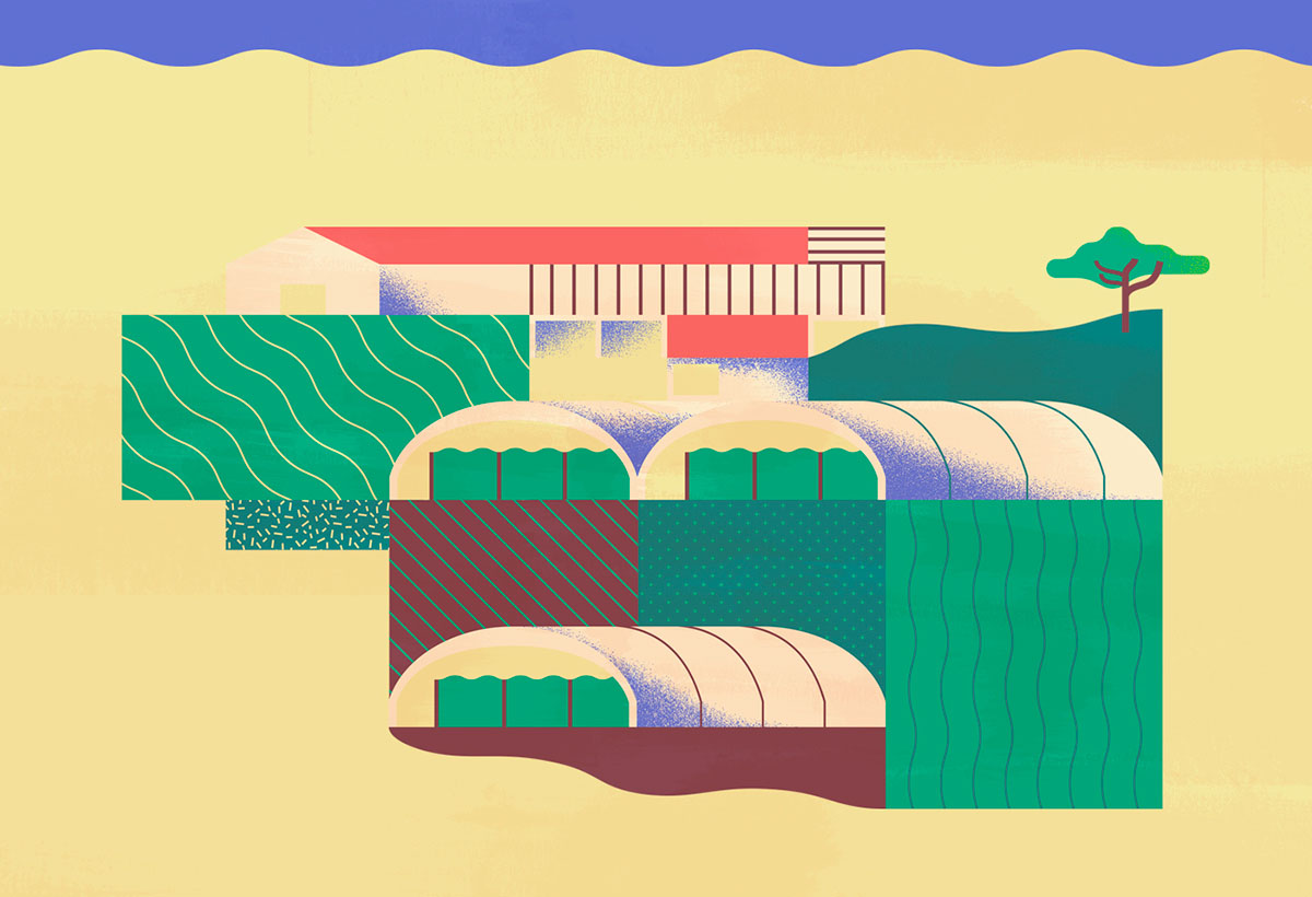 上海品牌設計公司欣賞：Maravilha農場農業種植插畫設計