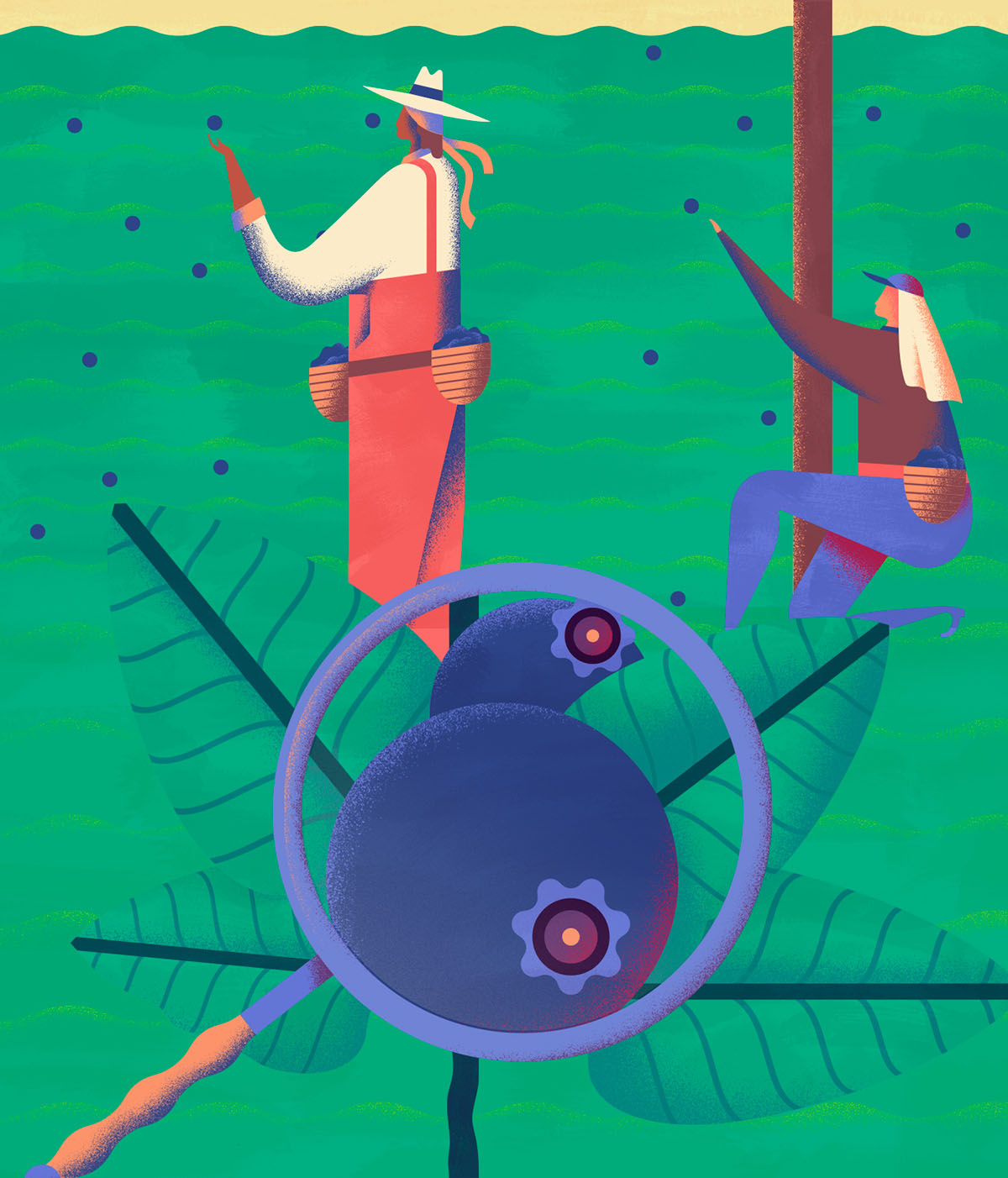 上海品牌設計公司欣賞：Maravilha農場農業種植插畫設計