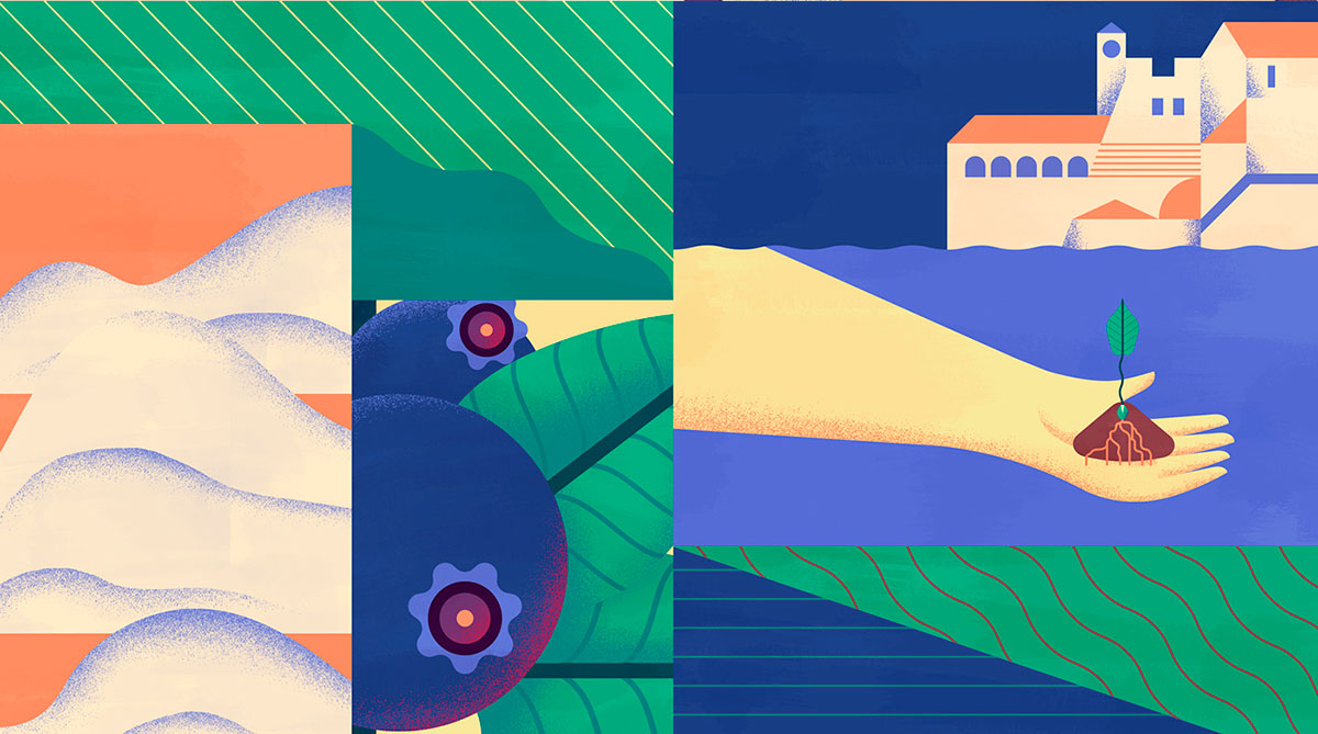 上海品牌設計公司欣賞：Maravilha農場農業種植插畫設計