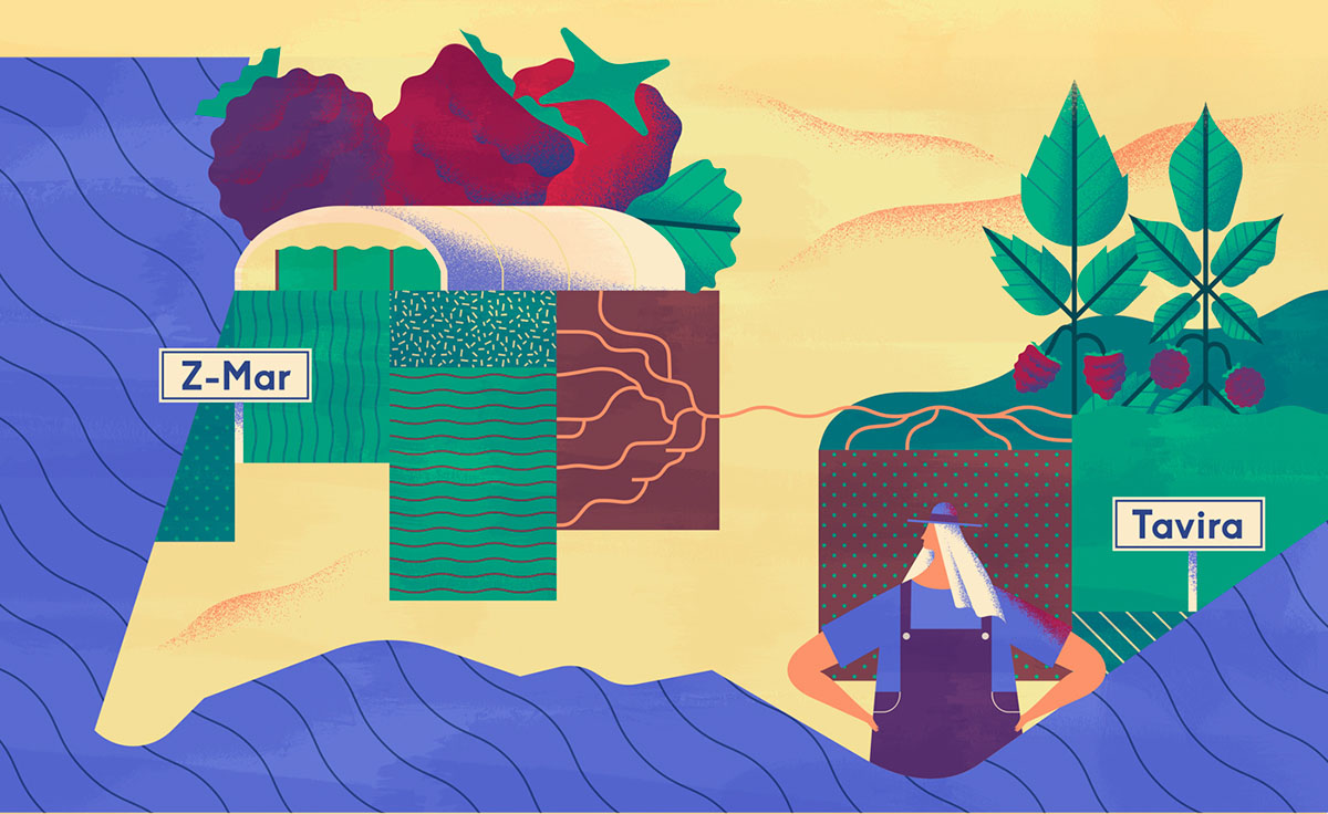 上海品牌設計公司欣賞：Maravilha農場農業種植插畫設計