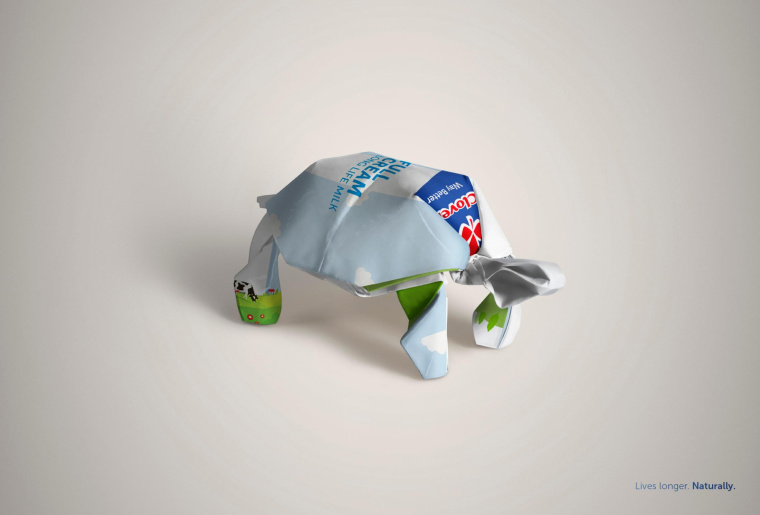 三葉草長壽命牛奶平面廣告創意設計“包裝盒創意篇-烏龜”-上海廣告策劃設計公司