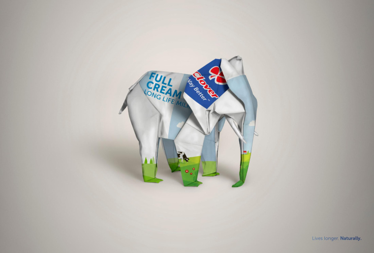三葉草長壽命牛奶平面廣告創意設計“包裝盒創意篇-大象”-上海廣告策劃設計公司