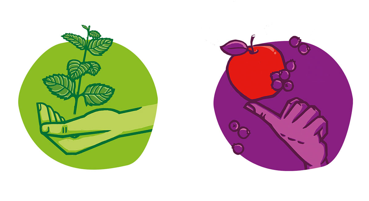 Korzen 健康果汁包裝設計插畫設計欣賞-上海包裝設計公司