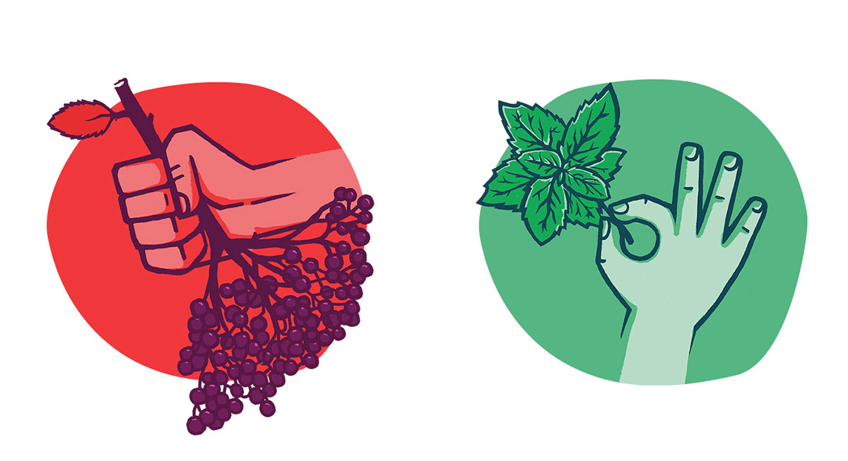 Korzen 健康果汁包裝設計插畫設計欣賞-上海包裝設計公司