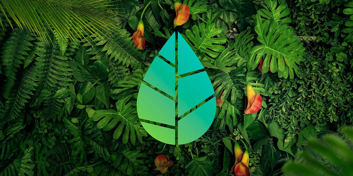 Amazonia 亞馬遜飲料葉子logo-上海logo設計公司