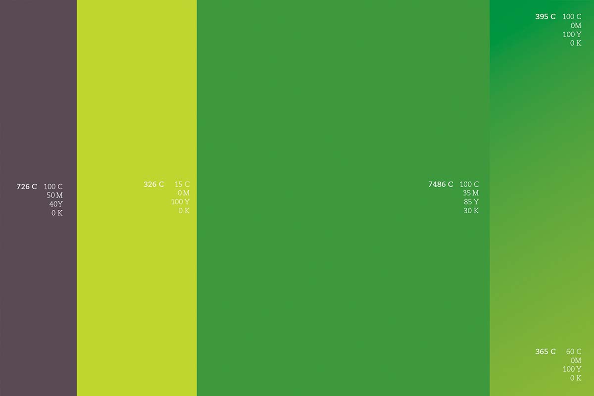 Bagisa 農(nóng)業(yè)品牌形象更新設(shè)計(jì)