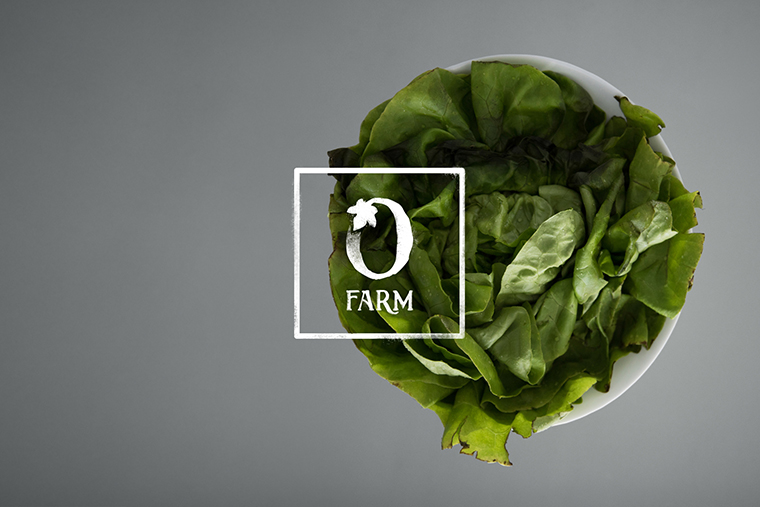 Olivette 農(nóng)場品牌形象設(shè)計(jì)標(biāo)志設(shè)計(jì)