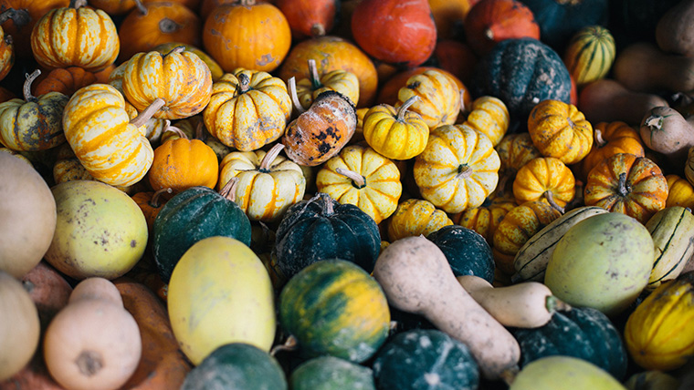 Olivette 農(nóng)場品牌形象設(shè)計(jì)-上海農(nóng)業(yè)品牌策劃設(shè)計(jì)公司