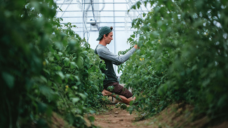 Ferme 地熱溫室農場農業(yè)品牌視覺形象設計-上海品牌設計公司