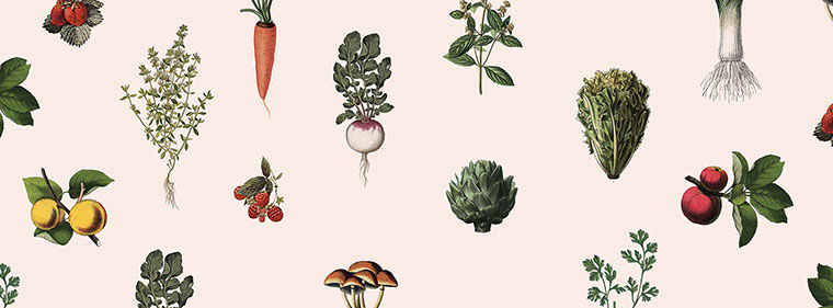 Ferme 地熱溫室農場農業(yè)品牌視覺形象設計-上海品牌設計公司