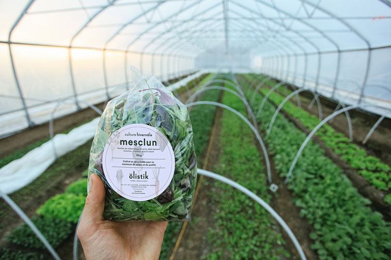 Ferme 地熱溫室農場農業(yè)品牌視覺形象設計-上海品牌設計公司