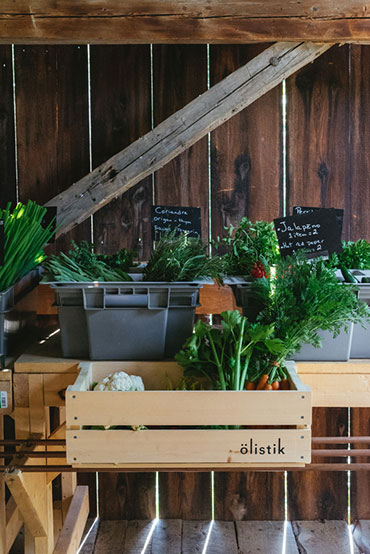 Ferme 地熱溫室農場農業(yè)品牌視覺形象設計-上海品牌設計公司