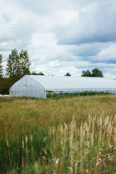 Ferme 地熱溫室農場農業(yè)品牌視覺形象設計-上海品牌設計公司