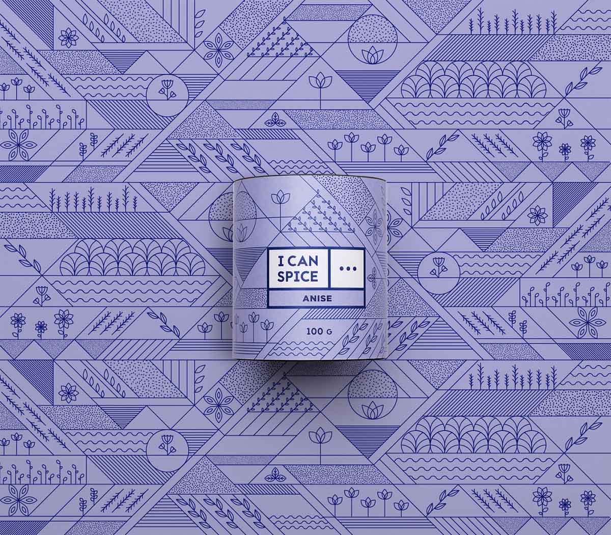 幾何線條圖形風“I Can Spice”香料調料包裝設計-上海包裝設計公司
