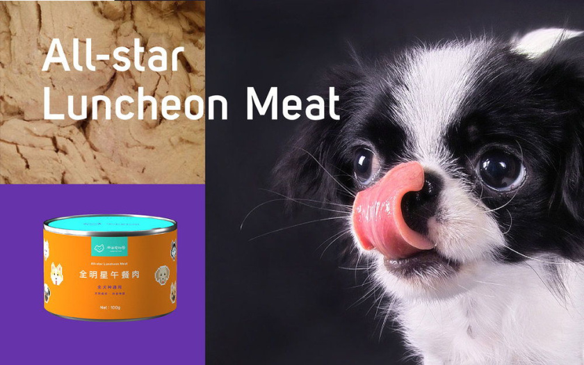 Nonda寵物店商品品牌包裝設(shè)計(jì)，馬賽克寵物插畫風(fēng)格