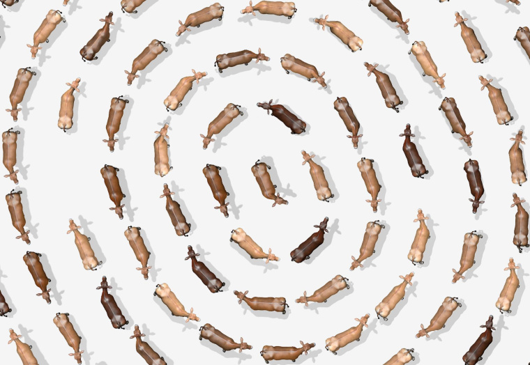 Purina 動物飼料平面創意廣告設計“指紋-黃牛”特寫