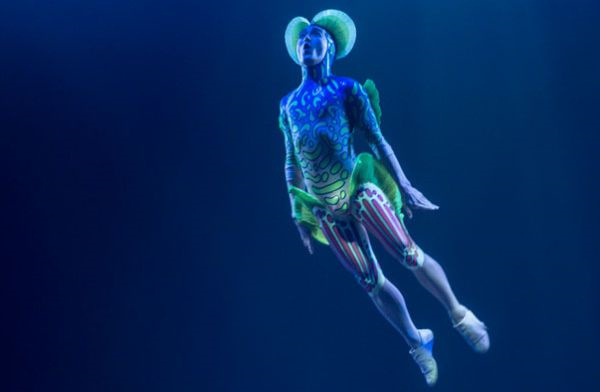 一類品牌，在于創建一個新品類-上海品牌策劃公司