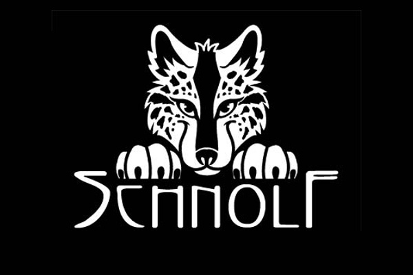 手繪狼形的企業logo設計-上海logo設計公司靈感