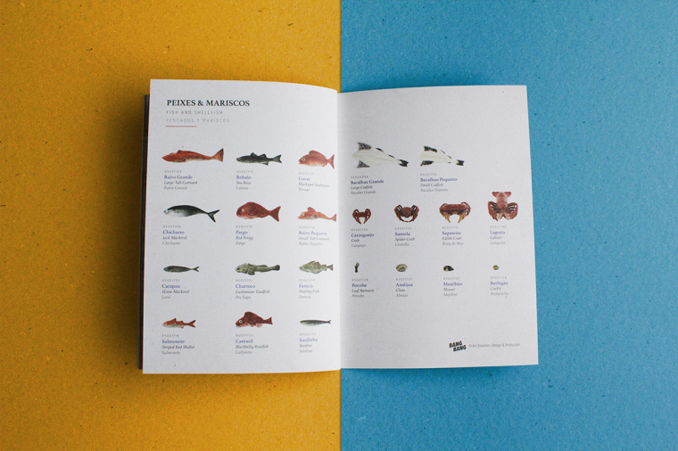 上海宣傳冊設計公司分享：報紙風格魚標本宣傳冊設計