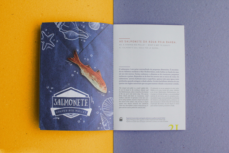 上海宣傳冊設計公司分享：報紙風格魚標本宣傳冊設計