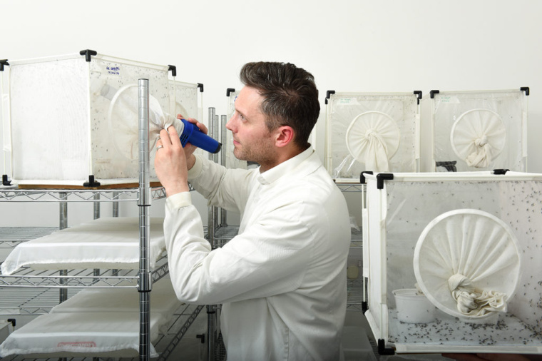 LSHTM醫學學院大學品牌形象設計VI設計