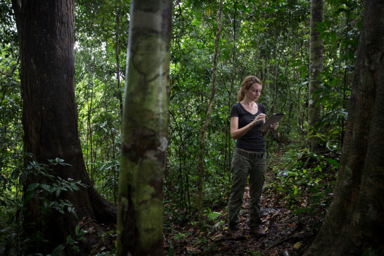 LSHTM醫學學院大學品牌形象設計VI設計