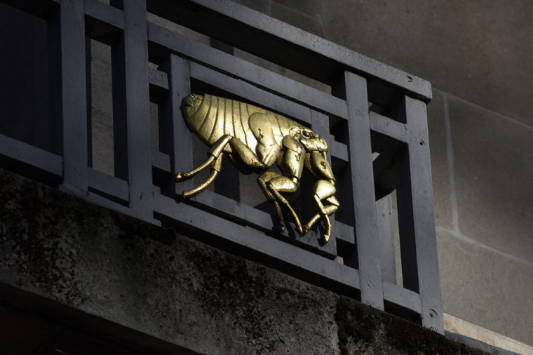 LSHTM醫學學院大學品牌形象設計VI設計