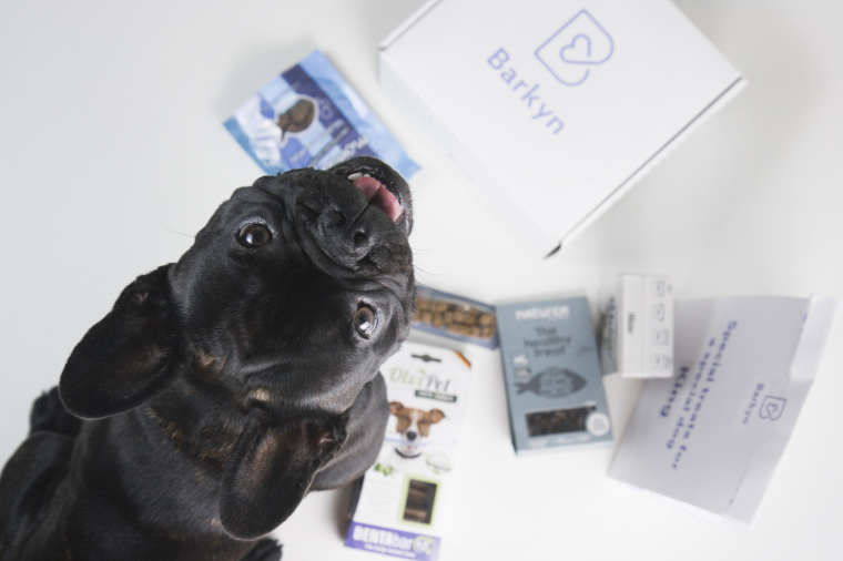 Barkyn 狗糧寵物食品品牌形象設計-logo設計包裝設計，淡雅溫馨風格展現寵物之愛