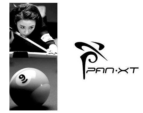 潘曉婷+九球 世界冠軍潘曉婷logo設計