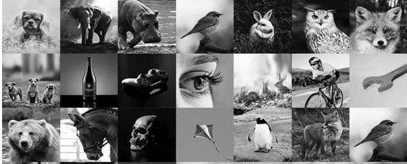 六位數花費的LOGO設計，關鍵在于多個元素的創意結合