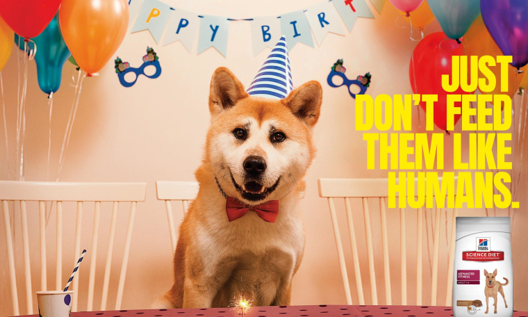 Hill‘s寵物食品擬人化平面創意廣告設計“不要像人類一樣喂養它們”