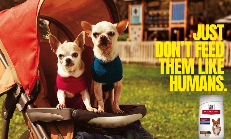 Hill’s寵物食品擬人化平面創意廣告設計“不要像人類一樣喂養它們”