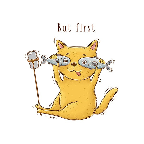 EMEDO藝美道日式美容會(huì)所與護(hù)膚品品牌標(biāo)志設(shè)計(jì)-上海品牌設(shè)計(jì)公司