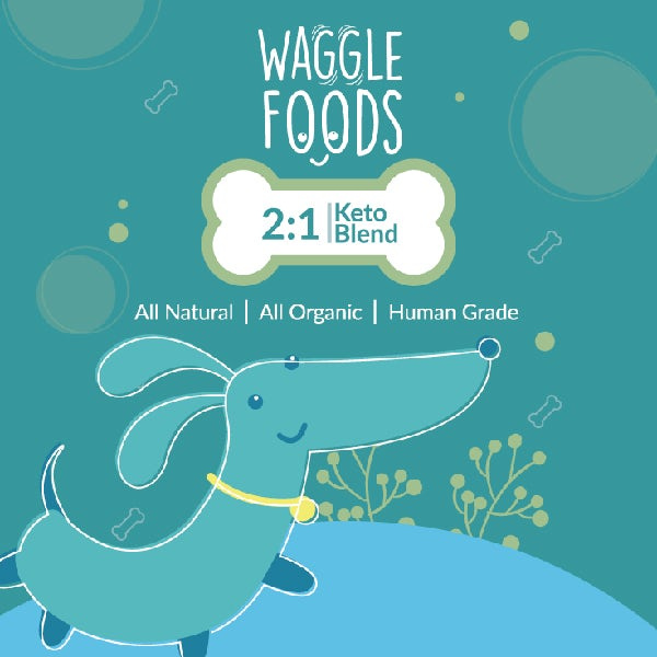 搖擺寵物食品包裝設計--上海品牌設計公司