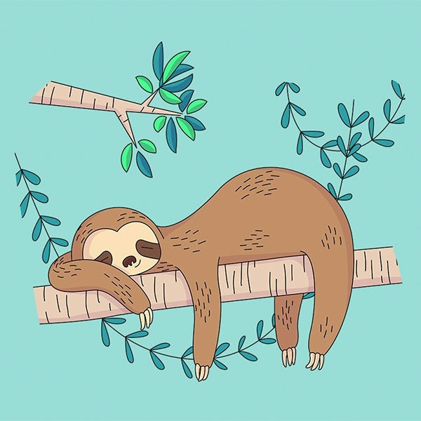 懶惰樹懶吉祥物設計--上海品牌設計公司