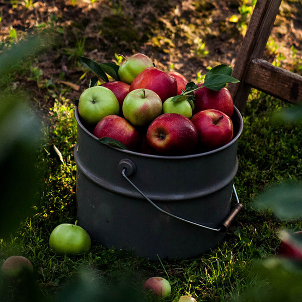 Studio Otwarte 壓榨純果汁包裝設(shè)計