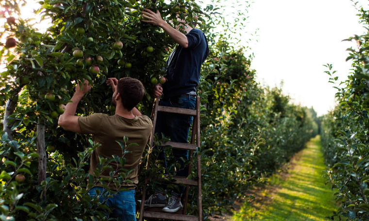 手繪藝術(shù)風(fēng)Studio Otwarte 壓榨純果汁包裝設(shè)計