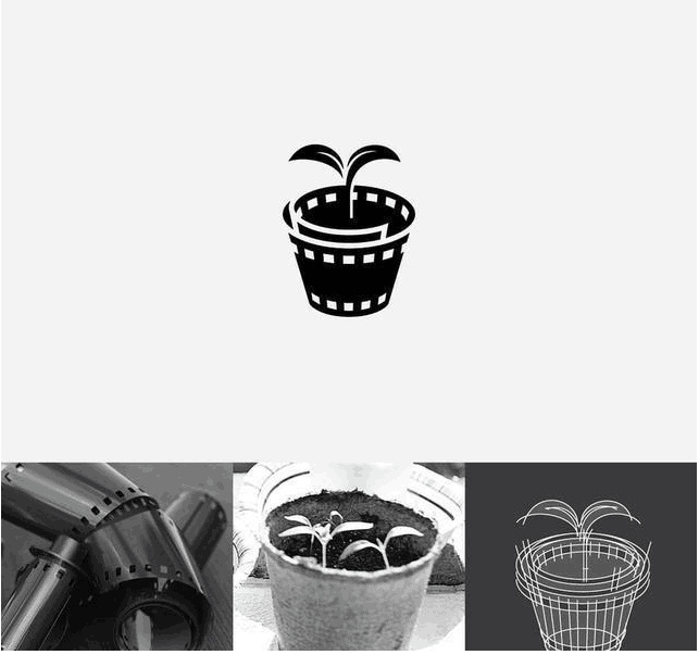 logo設計過程圖示揭示logo設計靈感-植物電影logo設計