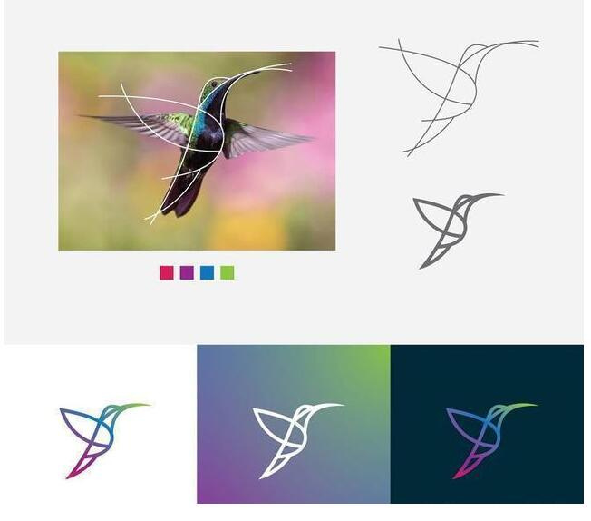 logo設計過程圖示揭示logo設計靈感-蜂鳥線條logo設計靈感