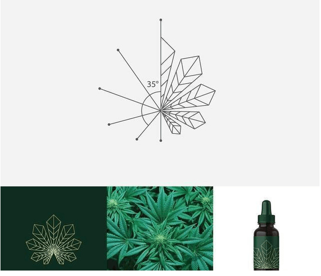 logo設計過程圖示揭示logo設計靈感-植物+線條 精油logo設計靈感