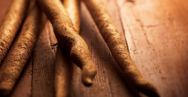 Soba 面館餐飲宣傳畫冊設(shè)計，東方日式藝術(shù)風(fēng)格