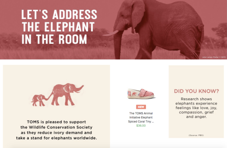 TOMS一對一 TOMS一對一