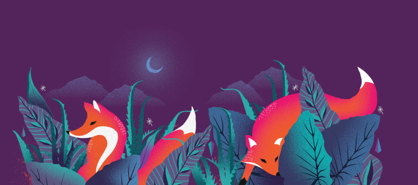 Noir 罐裝餅干禮盒包裝設計,非常美麗的藝術插畫（狐貍）