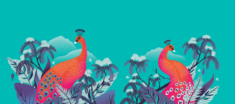 Noir 罐裝餅干禮盒包裝設計,非常美麗的藝術插畫（孔雀）