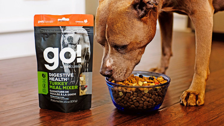 GO！混合膳食保健狗糧包裝設計-上海包裝設計公司