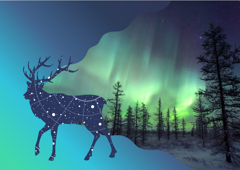 Yakut 袋裝面包烘培產(chǎn)品包裝設(shè)計(jì)，動(dòng)物星空北極光圖形