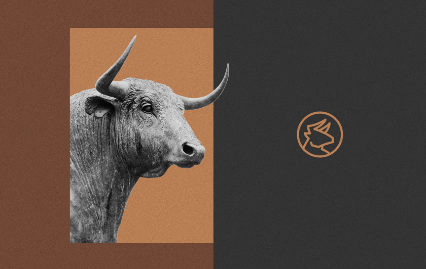 BDB金融投資創(chuàng)投公司vi形象設(shè)計與公牛logo設(shè)計