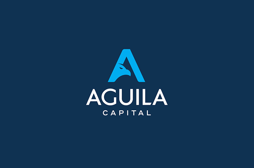 Aguila Capital 巴西對沖基金logo設計“字母A+鳥”