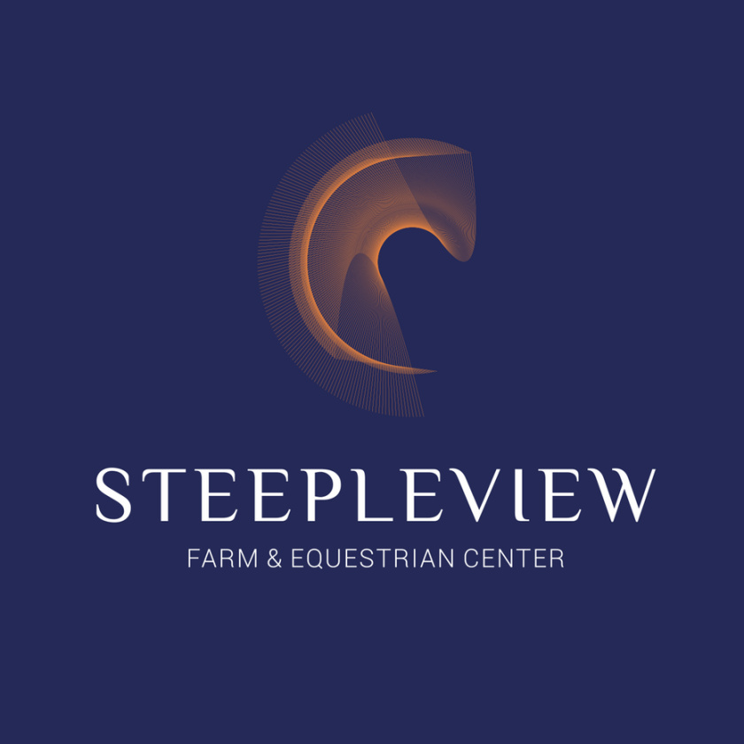 超細(xì)線條logo設(shè)計(jì)-抽象馬logo設(shè)計(jì)