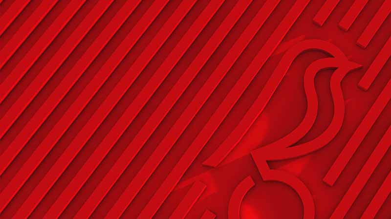 Bristol City足球俱樂部知更鳥新logo設(shè)計，讓品牌充滿視覺識別性